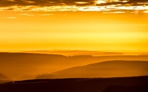 Ajurwedyjska zdrapka