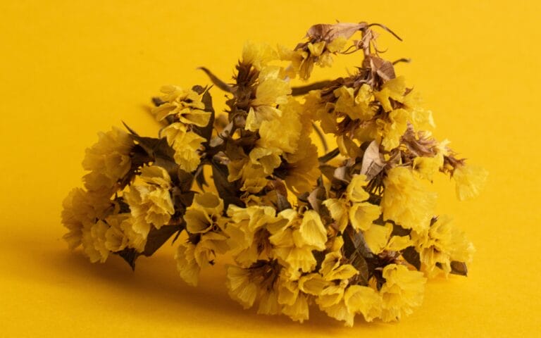 -wedyjskie sposoby na pełną lekkości i nowego życia wiosnę